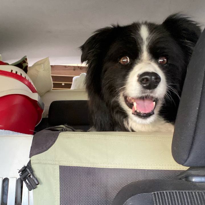 20f654c5 e2b1 4084 8449 ad642e7a4d02 1689977393628