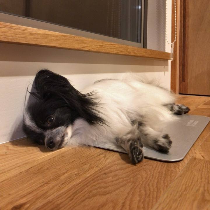 20f655bb d364 4f45 b4bf 4ea975759c0f 1532266957359