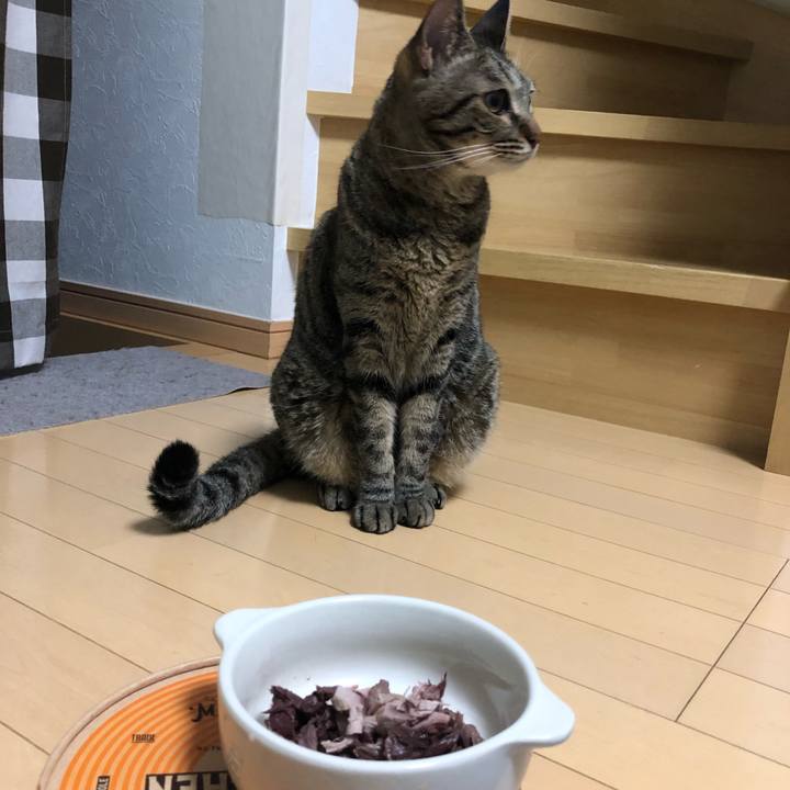 20f65f03 edd4 42c7 831b 32f715f9629d 1565987952664