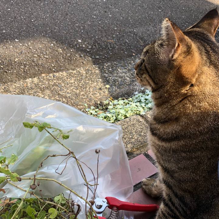 20f699ec f3d1 4615 9545 3d41ca112dd9 1571830956381