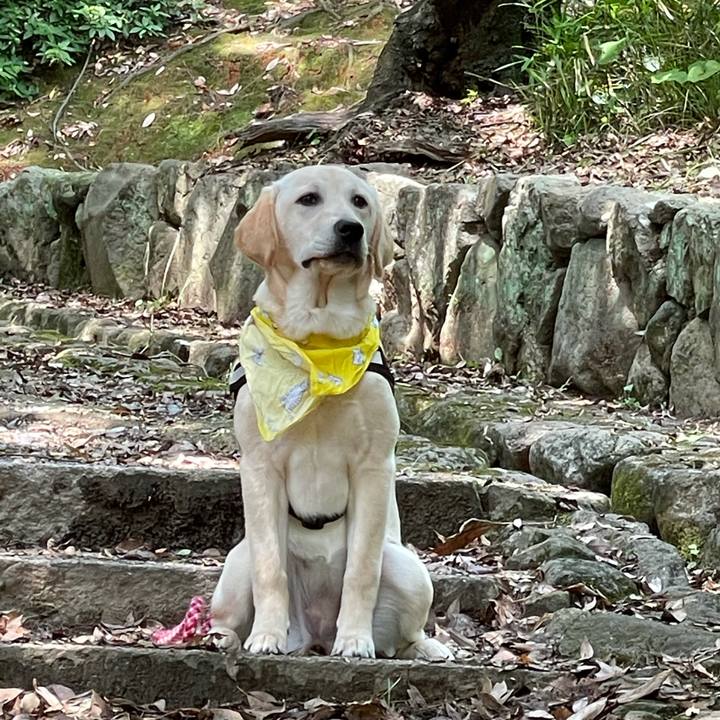 20f6a144 d47f 4f29 9c85 a8935bf99d46 1621951316660