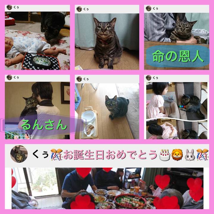 20f6a878 5313 4193 9c09 fec8e941ad3d 1533045709004