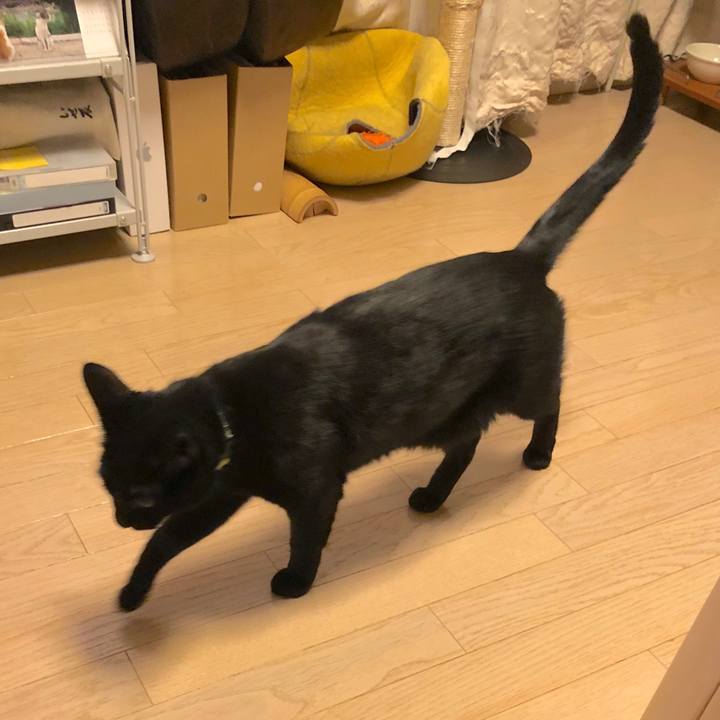 20f6c0f2 e8fc 4600 ac7d ddae740f6565 1542282945590