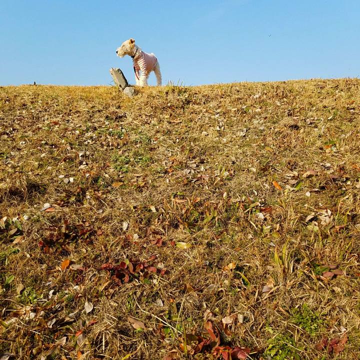 20f6d2f6 22bb 4cee 8ef1 a915c6313476 1516521636860