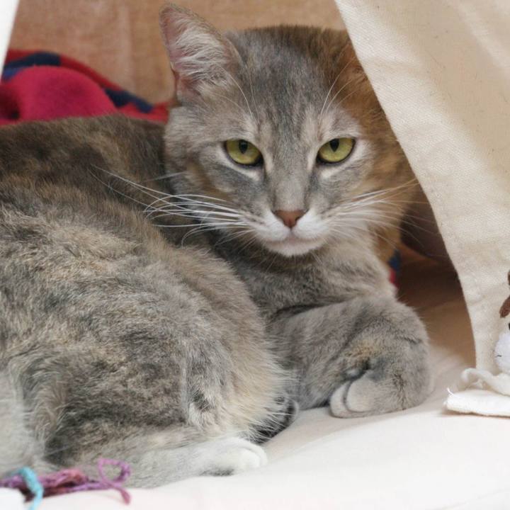 20f72af2 90df 4357 b327 465f613aaedd 1545272098837