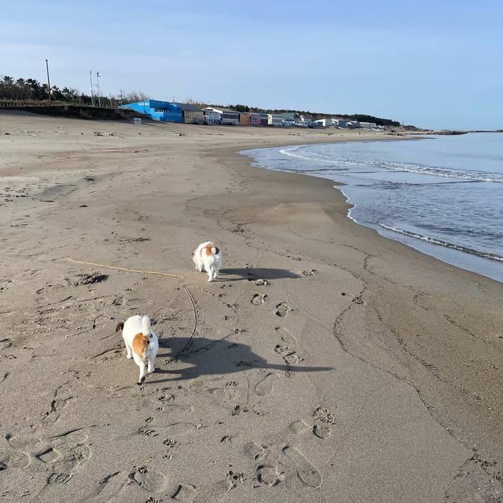 20f7321f e2a6 469e a224 ec55c095e3e9 1711585478462