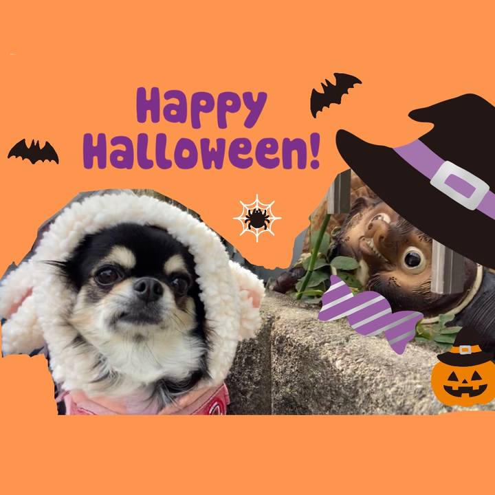 20f74596 5b83 4404 b3df d4e6fbdb9556 1635042271744