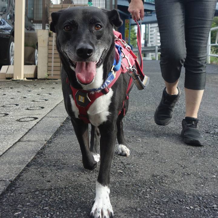 20f76238 2d86 42b9 be4e 88915b921dd8 1692057521850