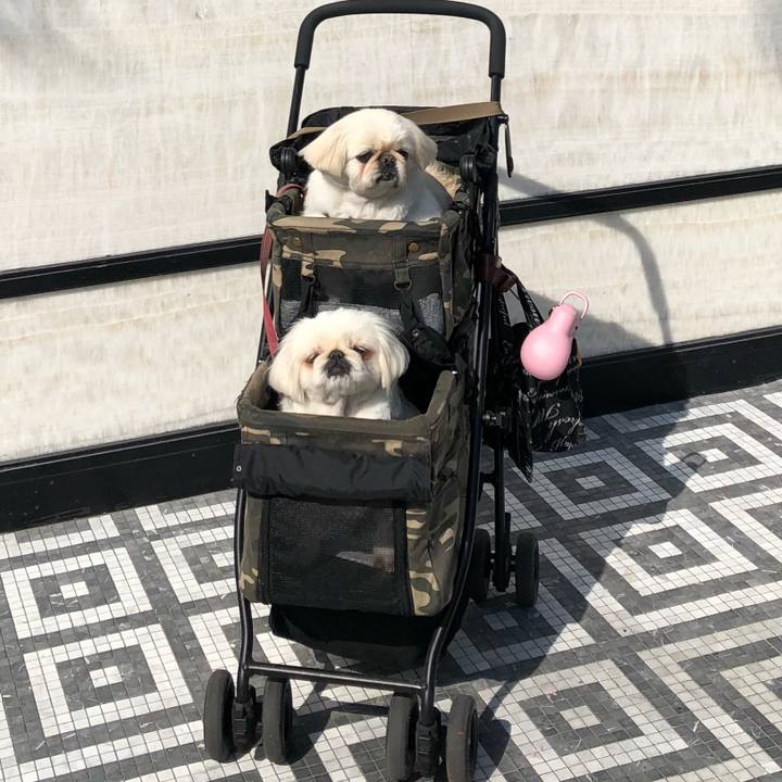 20f767f7 f6d9 4244 9201 76277011d381 1585060719804