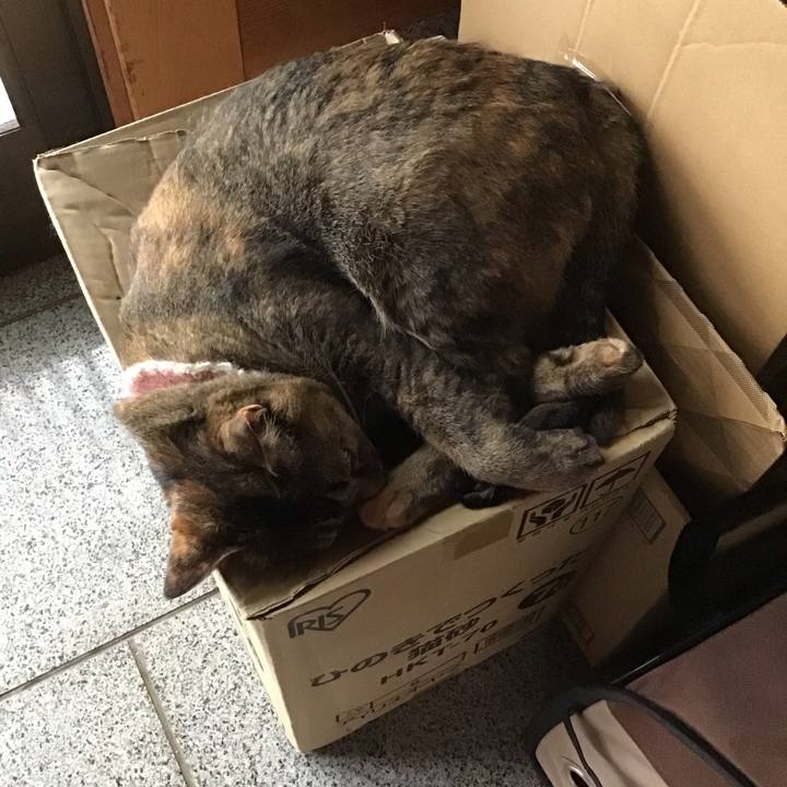 20f77bbd 1829 45c8 afdd eb59123a38ff 1689765484808