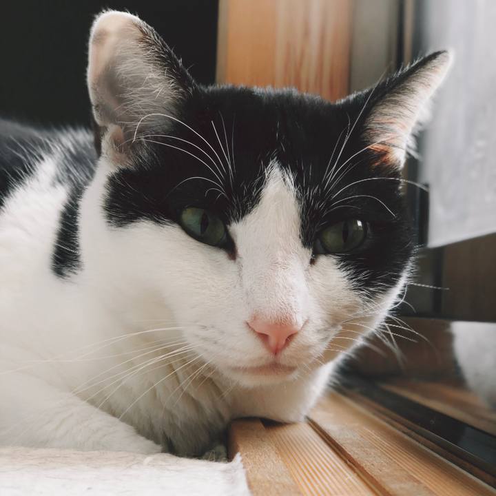 20f7885f 366d 4148 a9d9 590933b1aac2 1555723808884