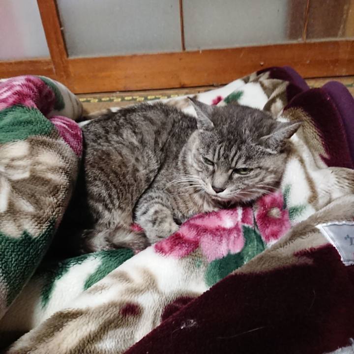 20f7ac5a e4b1 4d12 9548 440e2dc7043b 1571470321705