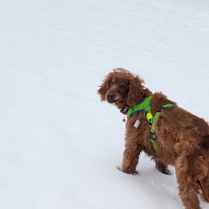 20f7df5c aa5a 42e5 b9a6 6f2c15c83d97 1768469019703