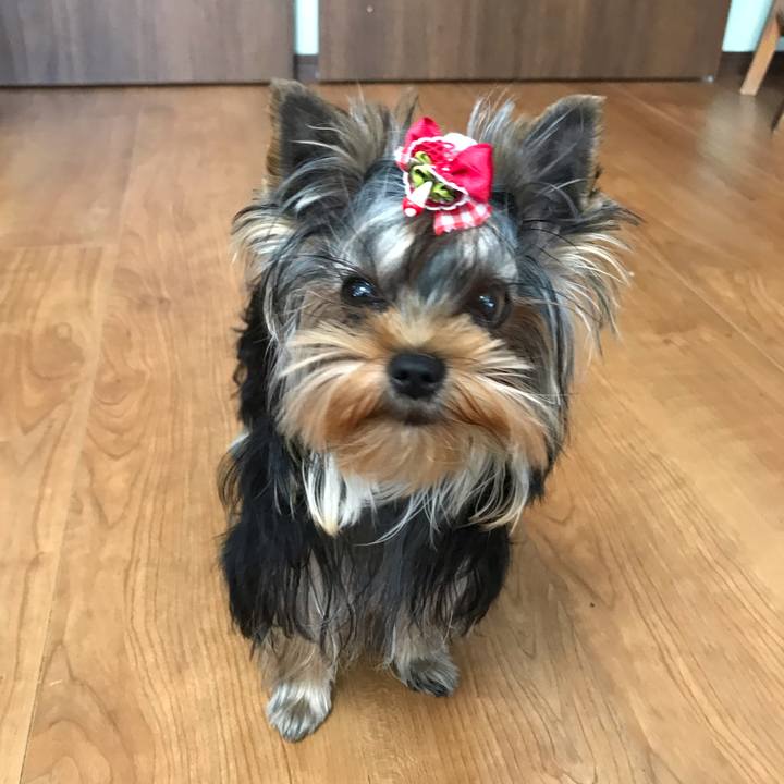 20f7e9e6 cb36 44dd bcfc 9db6922f59de 1626756806053