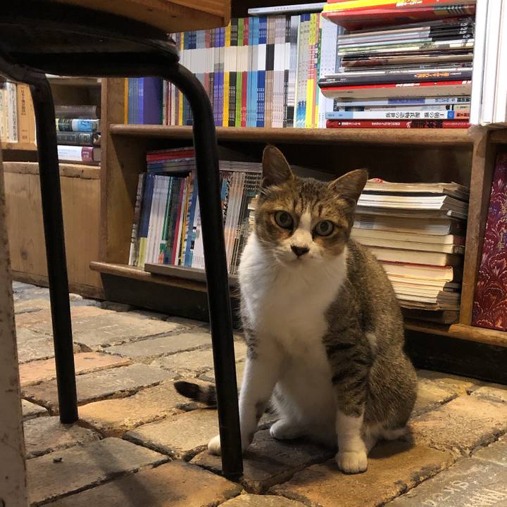 20f7fc20 8f57 4599 9781 7cbe32dc4551 1632398786929