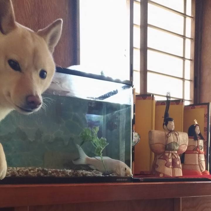 20f7fd9d 0b1e 471a 9e31 3a1bb268bfdb 1550795035370