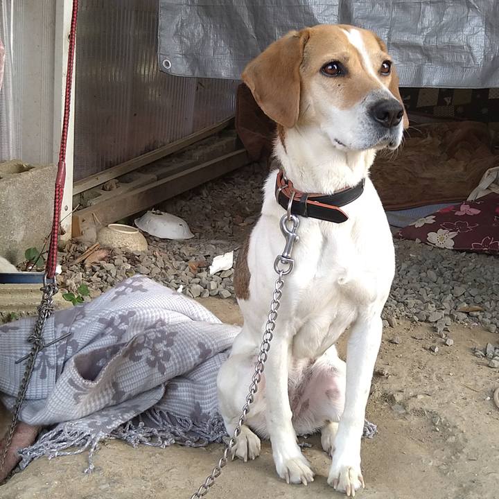 20f80502 a496 4c9e abb7 f6a8d356efb0 1649146369206