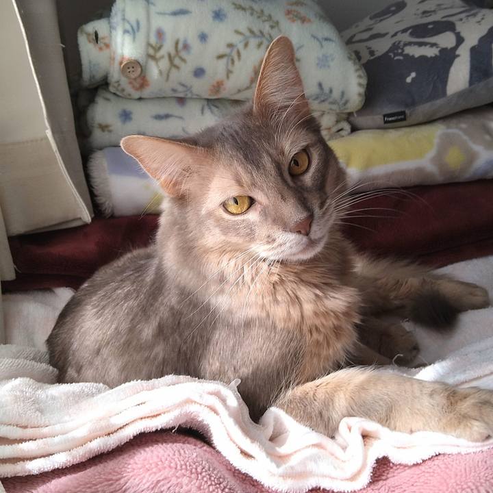 20f81d6a 17a6 4819 92ec c1858592a710 1614165603119