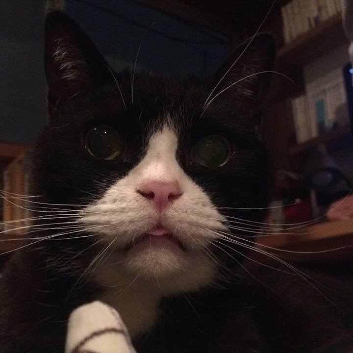 20f8274e ccde 4d42 b457 797b8a3bfaa6 1560258377664