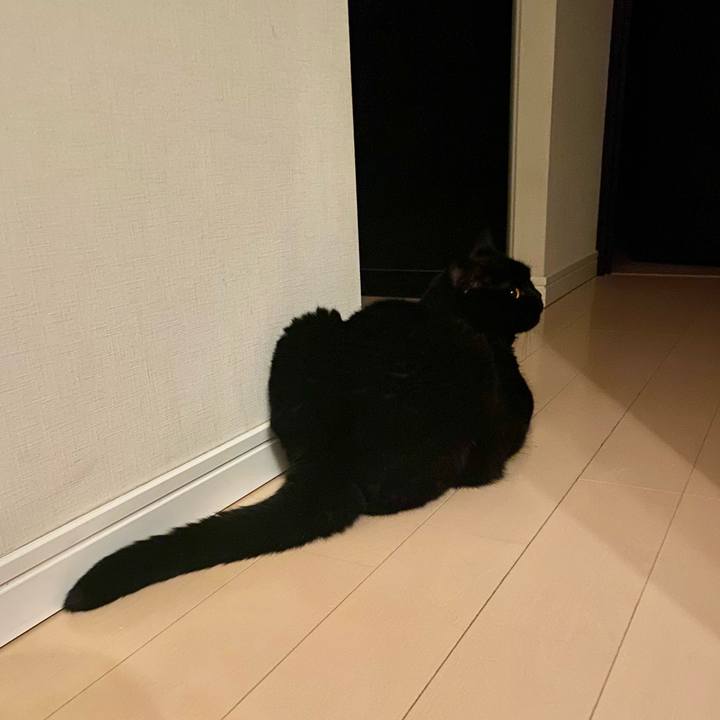 20f82b8a 1975 4876 960a f36810d21976 1756559217888