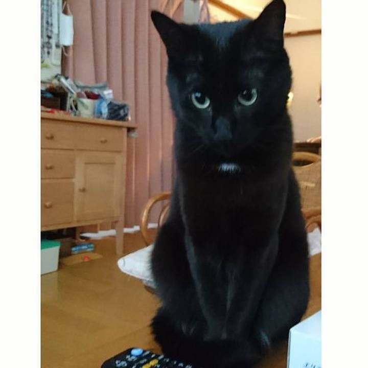 20f834db 47fa 4335 8025 01b8fe7448a6 1546212480693