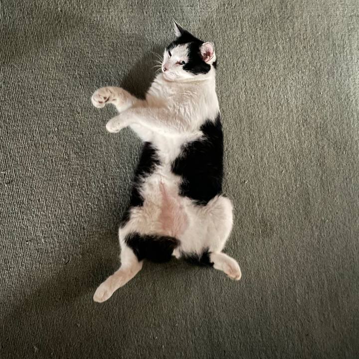 20f84053 94d6 4671 b753 d83cb430976e 1723820416983