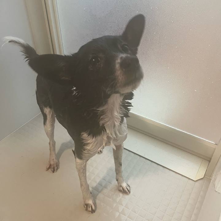 20f8477b 9c09 4b32 b2d3 699ecedb3fcc 1672148805483