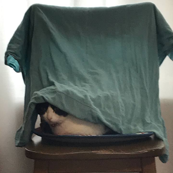 20f86b80 9f39 4d44 bb77 4773006abc95 1588729171593