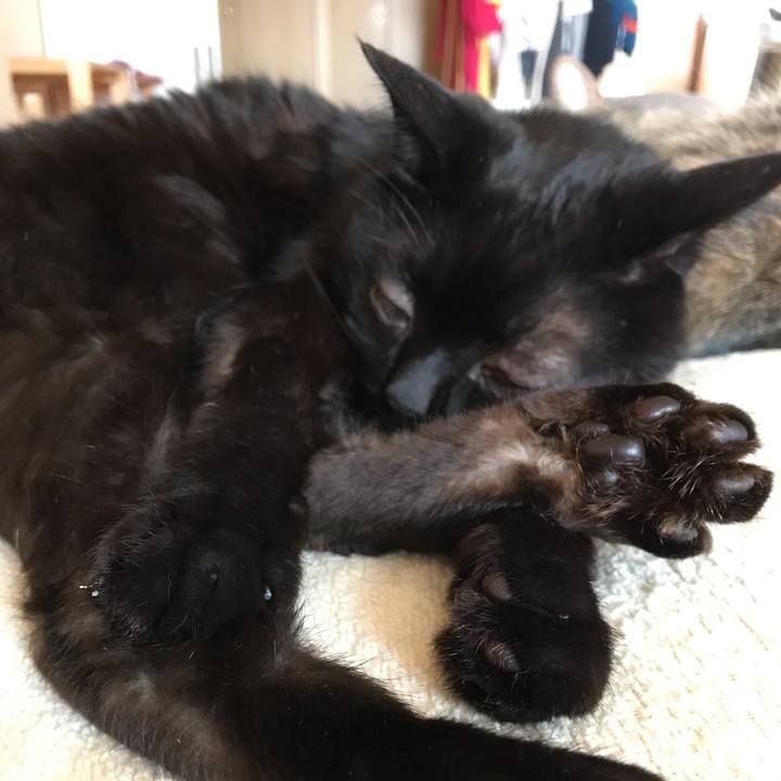 20f8b1c3 6915 4f3e a9be ba664f086cde 1561530531269