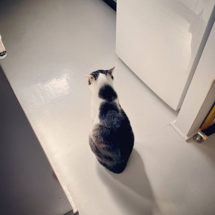 20f951dd bd7e 4600 8994 18382bb71c7e 1613015103589