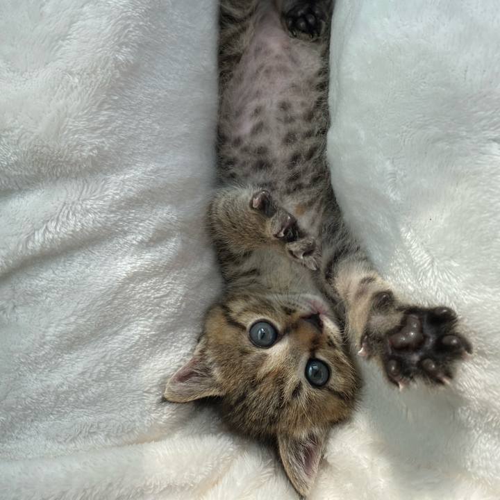 20f9b140 4192 4ff1 8f77 68b311a735da 1636945426735