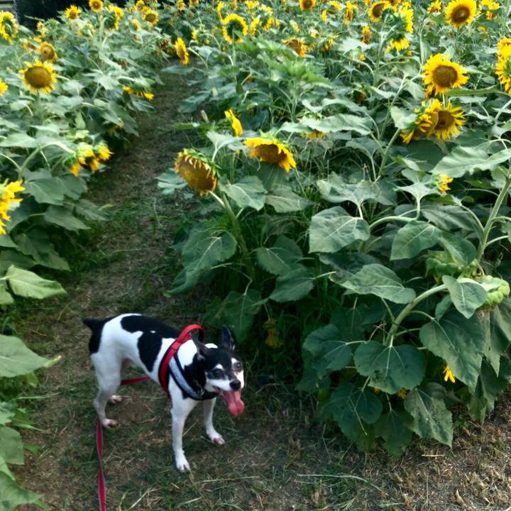 20f9b87c d150 4233 9b80 b03d23b25f71 1564787642223