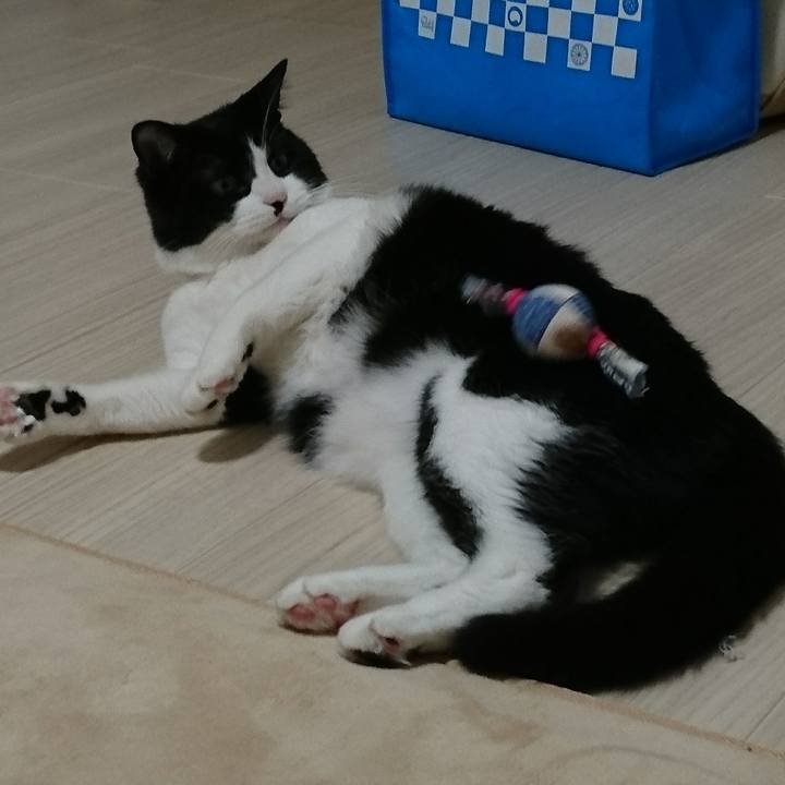 20fa1ae1 28e1 43f9 8182 75bcd62fa4aa 1547079160484