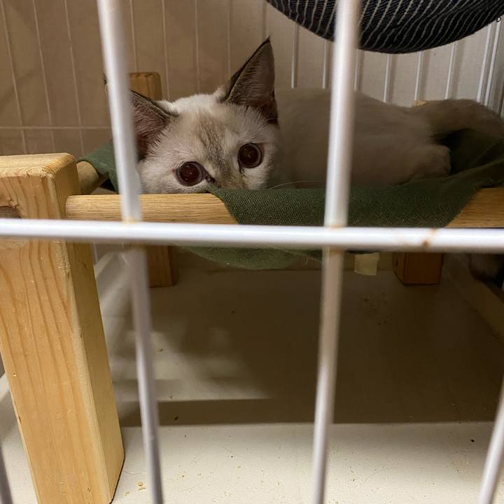 20fa3766 eee3 495d bd5a 95a9c115bbac 1633861653390