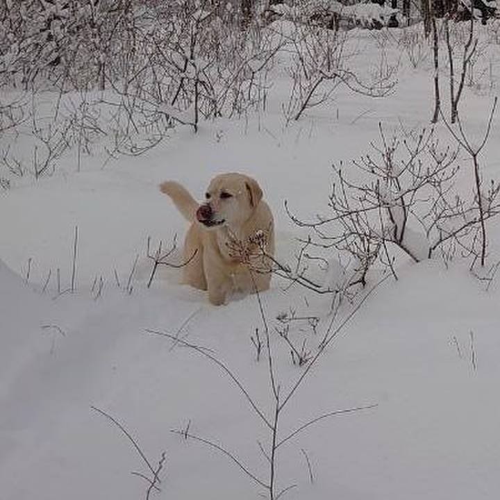 20fa3de4 4e59 492a b59b b133a3157767 1707182581829