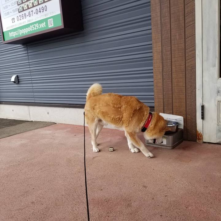 20fa7420 23fb 4408 a9d9 34953f0d23f3 1719189461191