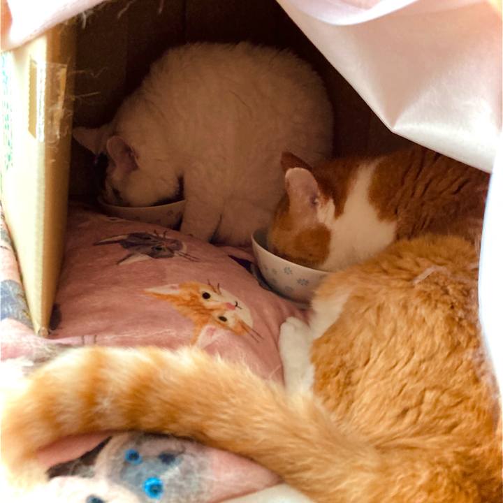 20fa8111 ece4 44d6 99b3 281b079677c2 1728317240985