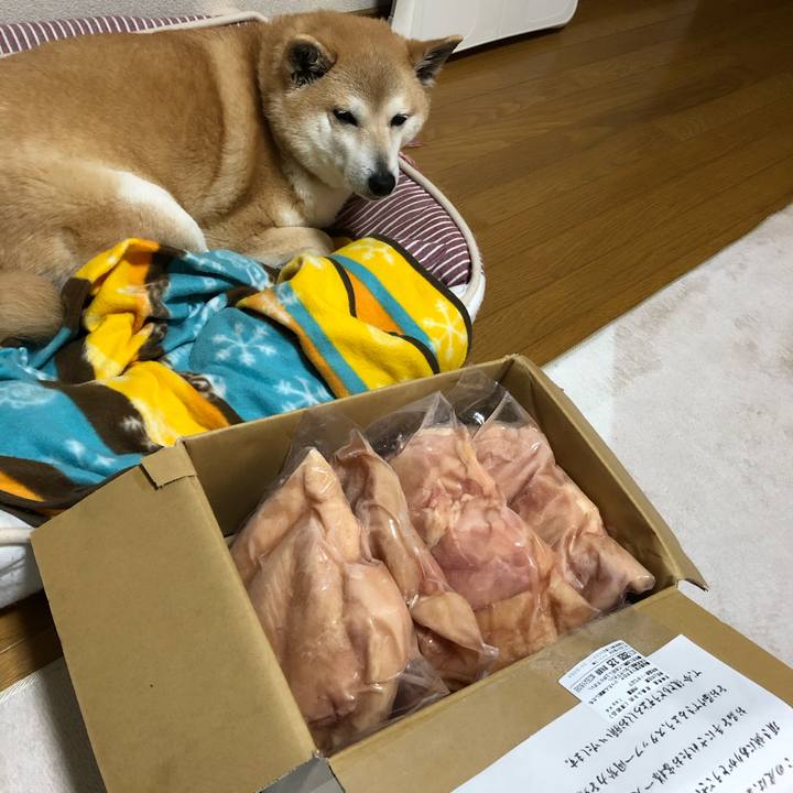 20fab44d a775 4f41 bec7 93a31fed4fbe 1585386305773