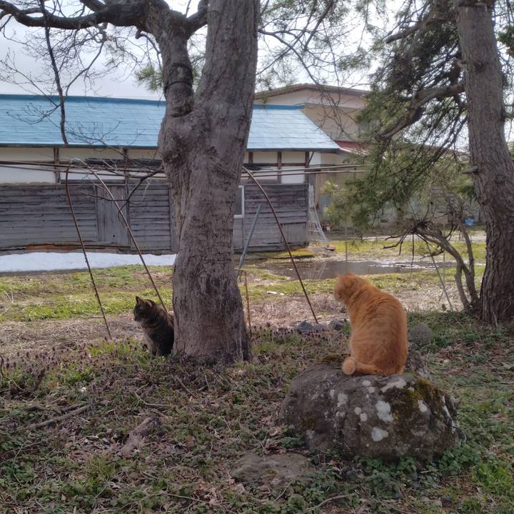 20fad189 8359 4747 bedd 50cacd01ccab 1679731195772