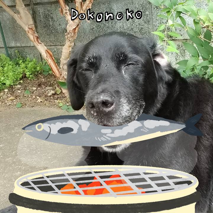 20fafa9a a8ac 4e39 a9b6 fa38668a174c 1761675303001