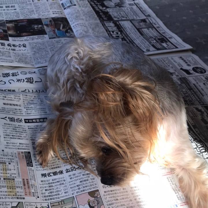 20fb1bd4 8fe1 4360 948f 58d9861276df 1586683125284