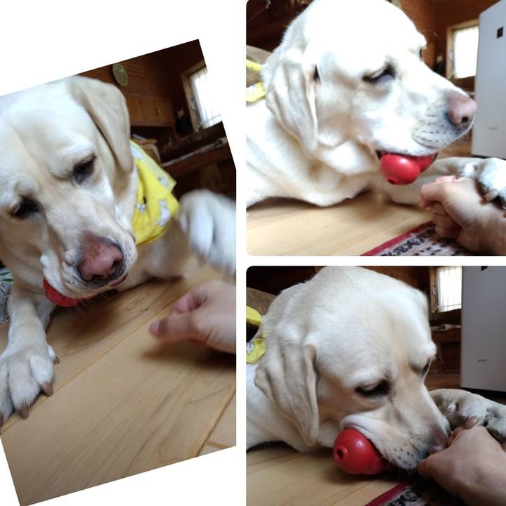 20fb2cce 2196 4f91 bd23 f94057443b2c 1555129516527