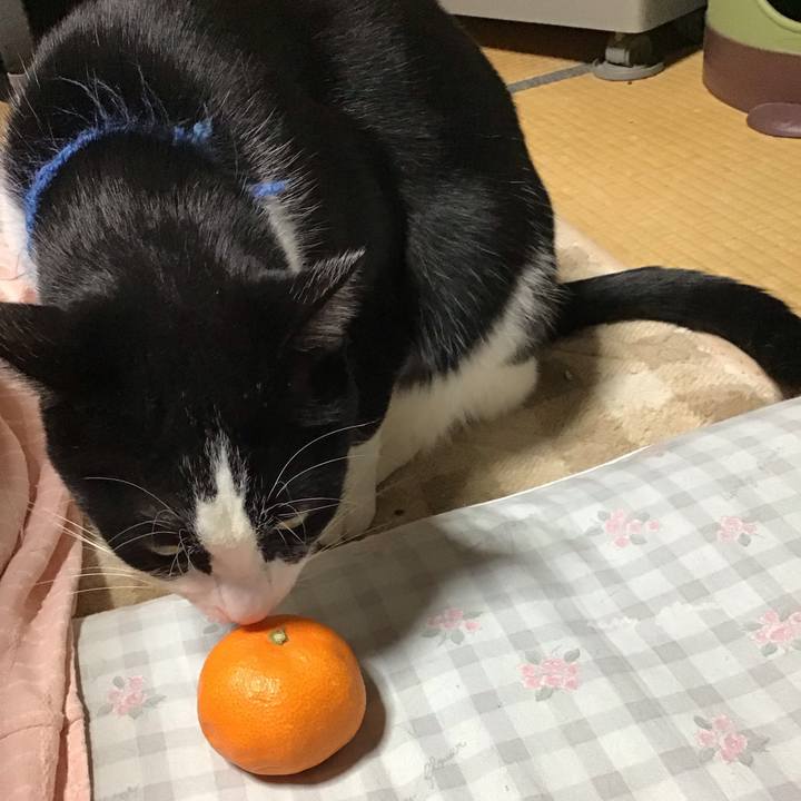 20fb326e 3dc8 49b3 be3d 95e7e8780416 1701606580245