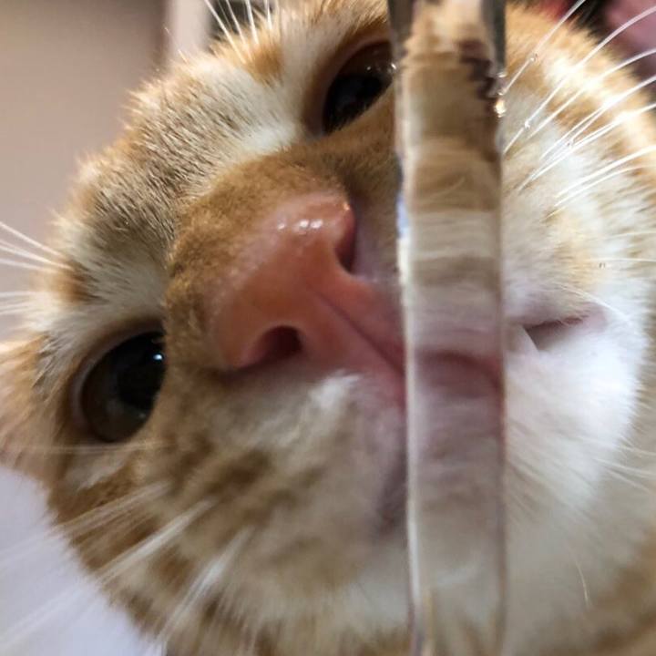 20fb35d2 e0b4 4045 9f82 2e22f3b34cd3 1574948736690