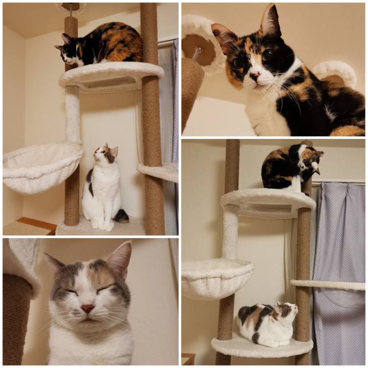 20fb5274 97fb 4594 a43a 543ec9430801 1672034976107