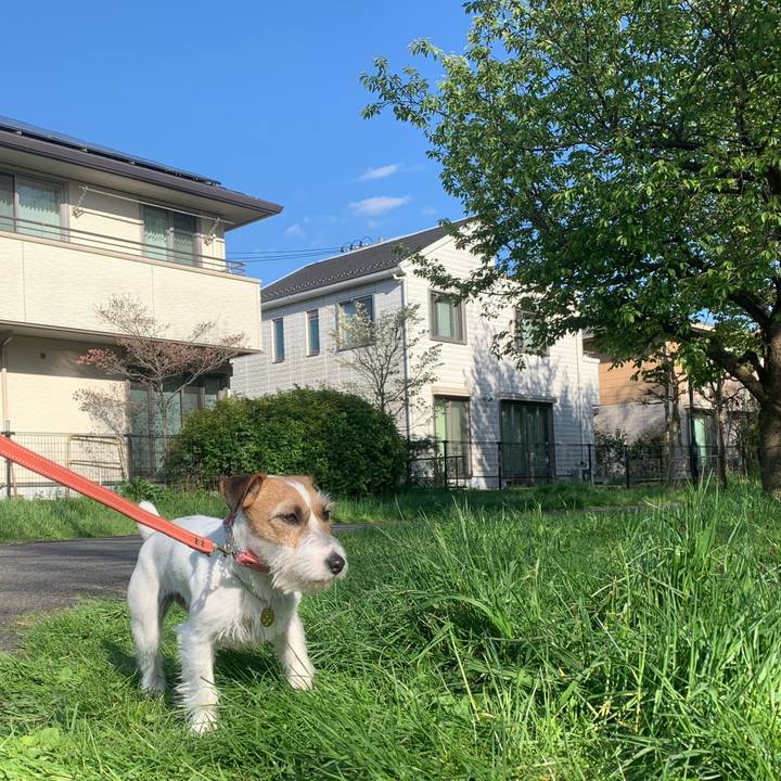 20fb590c 94ac 4274 845e e9d96f334f3d 1586848645272