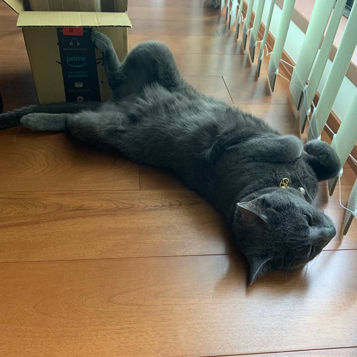 20fb7659 851f 42d7 84e6 fd1a940a52f3 1655807832405