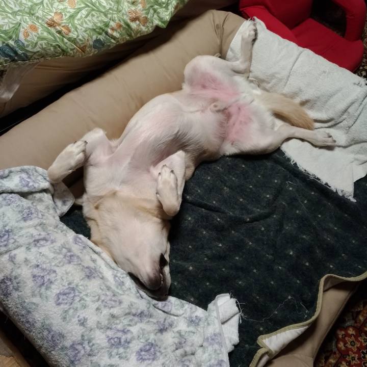 20fb7ca8 f47f 432b bf6b ce1c0a7490a8 1601994942123