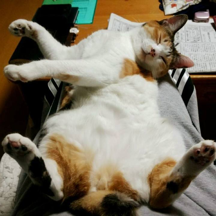 20fbc9d0 fa1e 4dd7 a14d 9b153e1fdda6 1559018419325