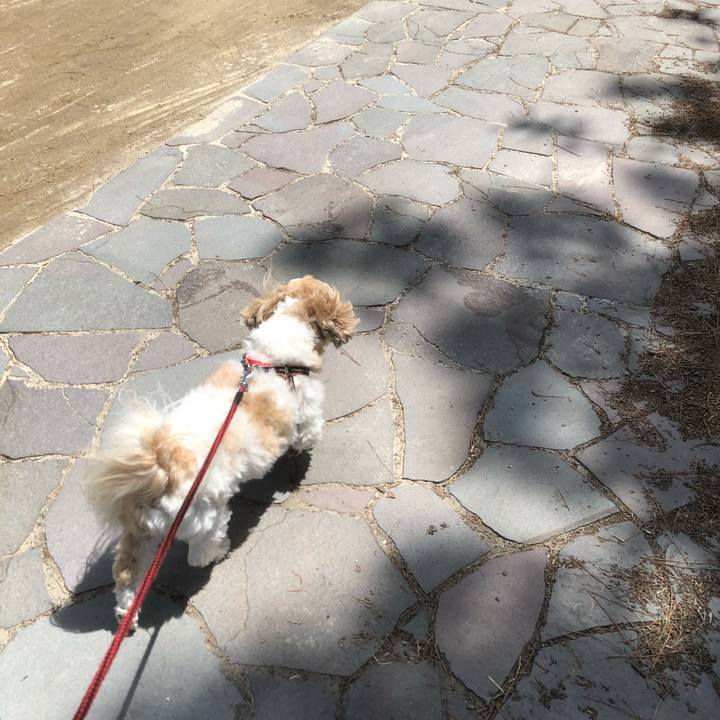 20fbf031 a85c 46de 835b 0d90a6c332f6 1618782633523